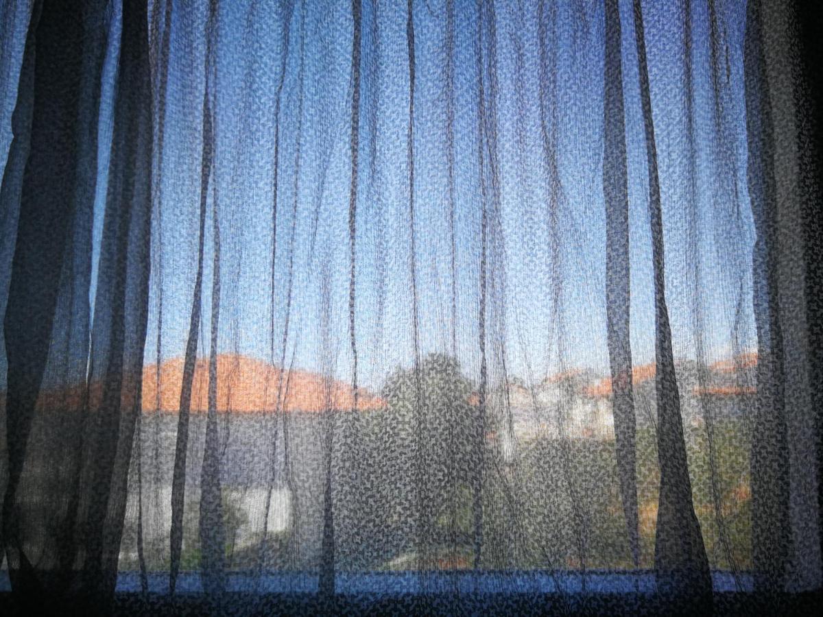 Apartment Brcic Biograd Na Moru Zewnętrze zdjęcie